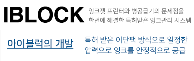 아이블럭의 개발